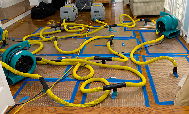 Professional Burst Pipe Water Damage technician working in Four Lakes, WA